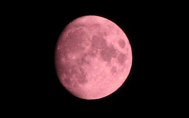 luna rosa