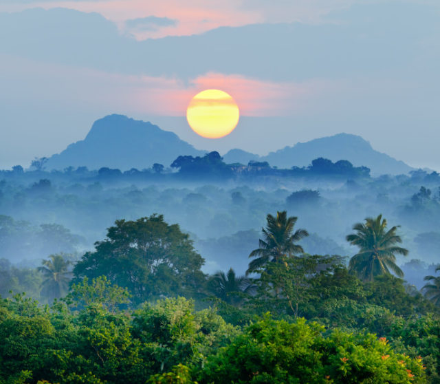 Artikelbild_Sri-Lanka_Sonnenaufgang_Tropen-686x598