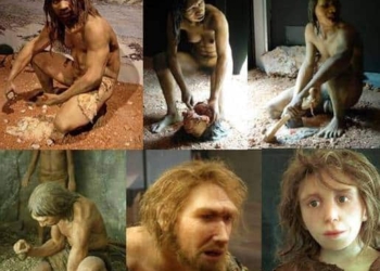 L'origine del genere Homo spostata indietro di 700.000 anni