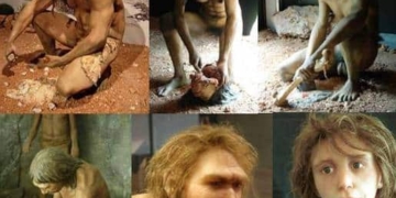 L'origine del genere Homo spostata indietro di 700.000 anni