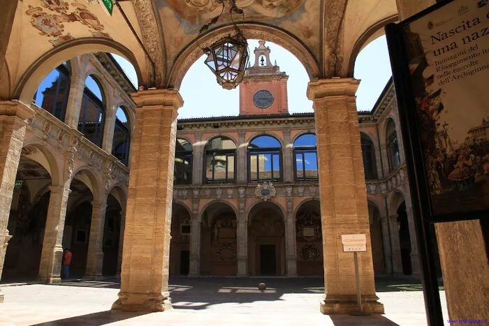 alma-mater-bologna - Liveuniversity