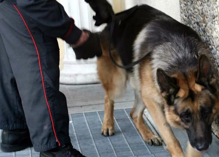 cane-antidroga-scuola - Liveuniversity