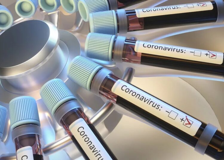 Coronaviruses research, conceptual illustration - Liveuniversity