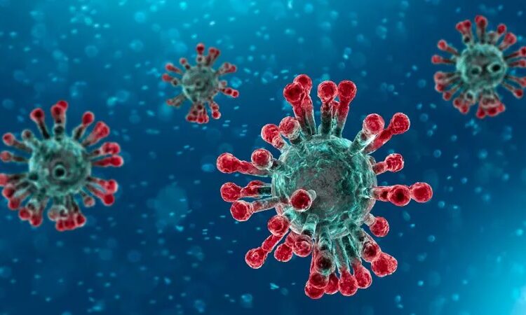 coronavirus unimore esperti - Liveuniversity