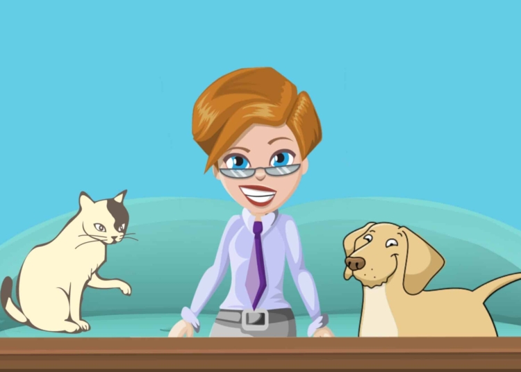 Cat e dog sitter - Liveuniversity