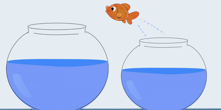 pesce che salta da una boccia ad un altra