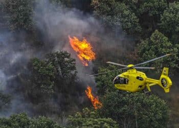 Sicilia, al via la campagna antincendio 2026: forestali in campo dal 15 maggio