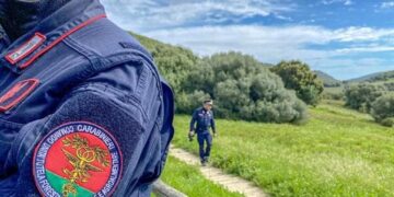 Palermo: blitz in un casolare a Montegrappa, scoperto laboratorio abusivo di stigghiole e allevamenti fantasma