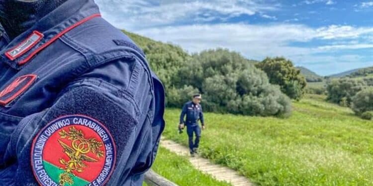 Palermo: blitz in un casolare a Montegrappa, scoperto laboratorio abusivo di stigghiole e allevamenti fantasma