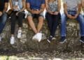 Palermo e la “Generazione Sospesa”: la mappa dei NEET e il divario tra i quartieri della città