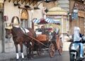 Palermo, record di caldo: scatta il quinto giorno di stop consecutivo per le carrozze trainate dai cavalli