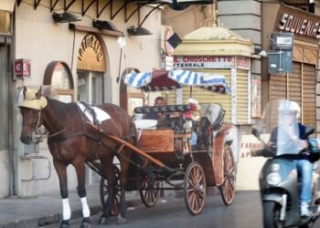 Palermo, record di caldo: scatta il quinto giorno di stop consecutivo per le carrozze trainate dai cavalli