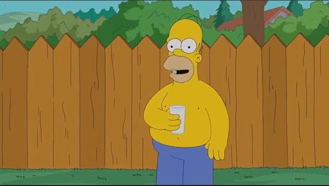 homer sla