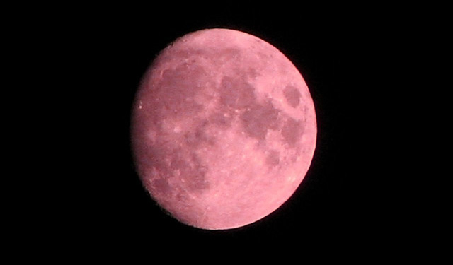 luna rosa