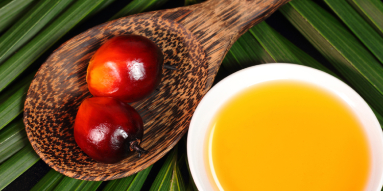 oil palm fruit and cooking oil