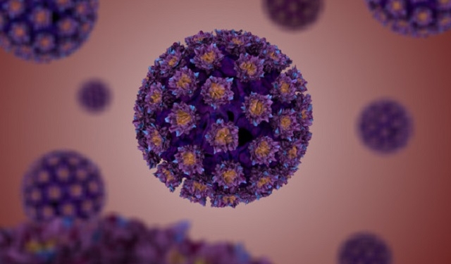 papilloma virus 1