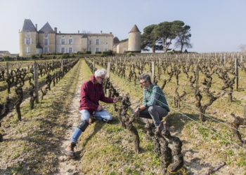 Chateau d'Yquem