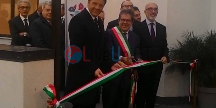 renzi torre biologica