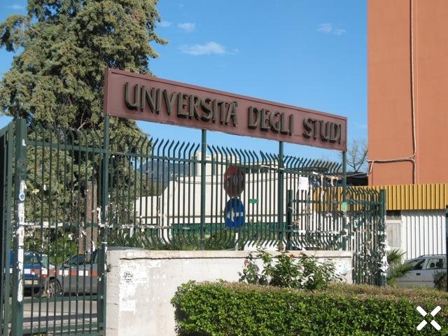 Università di Palermo, pubblicato bando part-time per 170 collaboratori