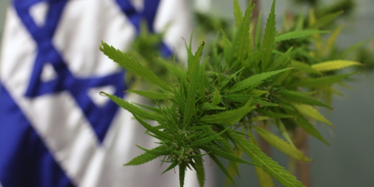 medical marijuana israele