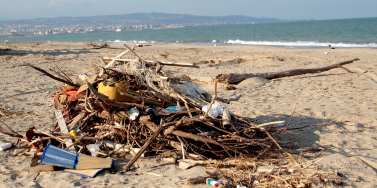 plaia spiagge libere abbandonate tra rifiuti e scarsa manutenzione