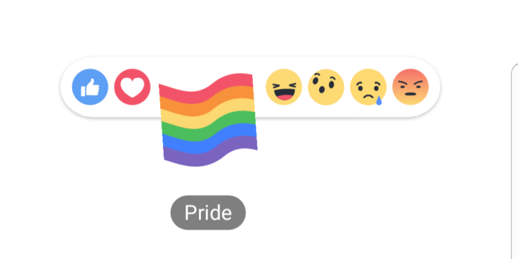 pride reaction