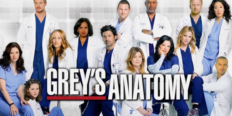 greys anatomy