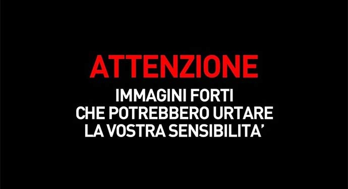 attenzione immagini