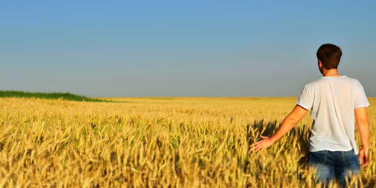 mutui agevolati terreni agricoltura sicilia ismea banca terreni agricoli