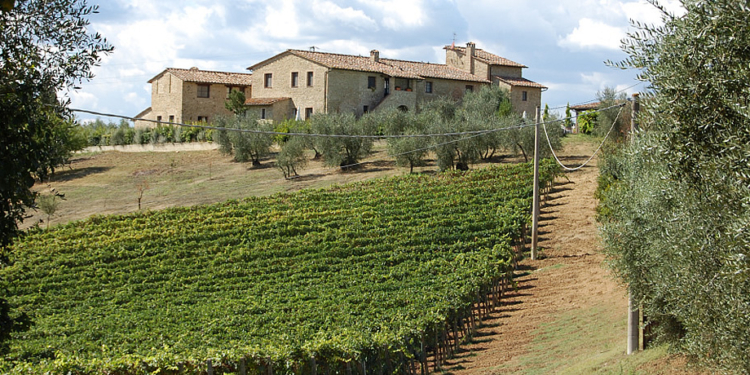 agriturismo toscana 13