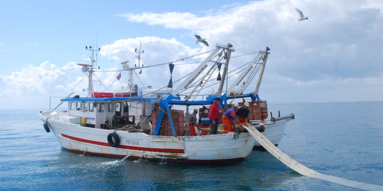 pesca sicilia