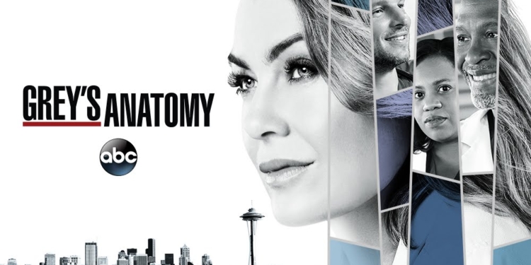 greys anatomy