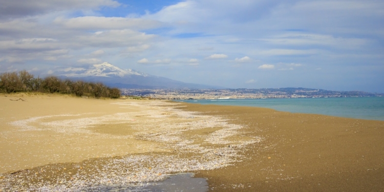 catania playa cadavere