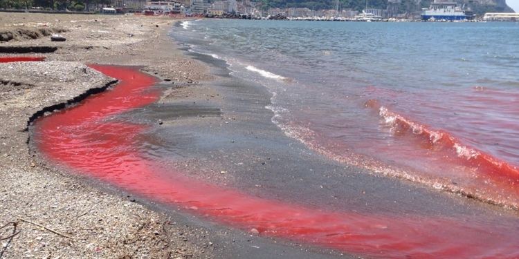 mare inquinato sicilia