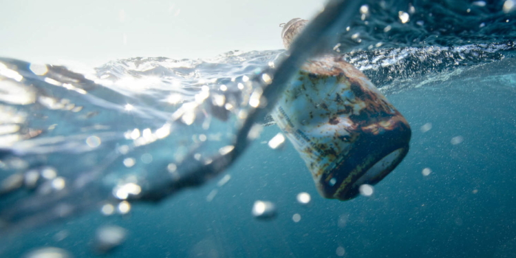 mediterraneo plastica inquinamento