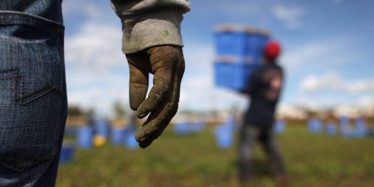 lavoro in nero italia