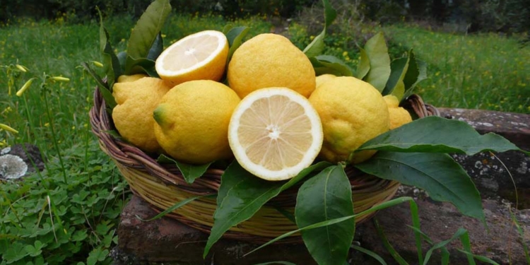 limone