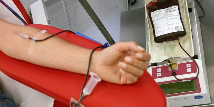 donazione sangue avis