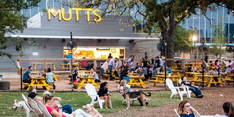 mutts canine cantina