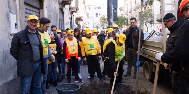 100 alberi per catania