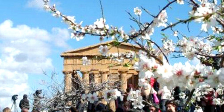 sagra del mandorlo in fiore agrigento