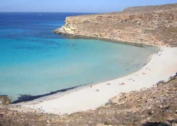 lampedusa spiaggia conigli