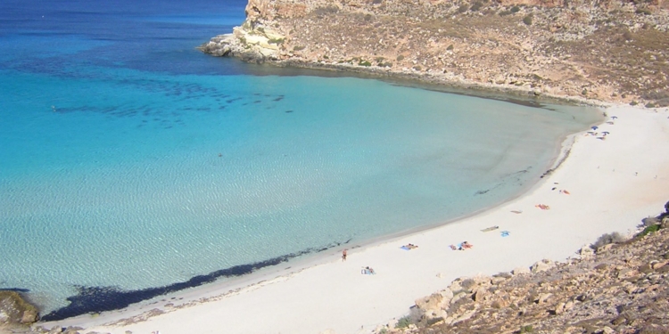 lampedusa spiaggia conigli