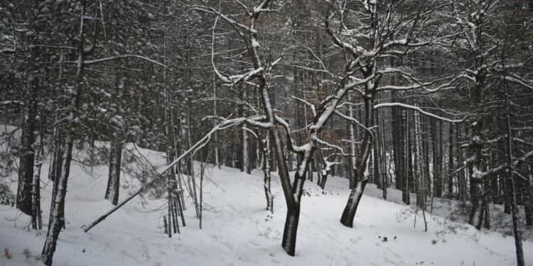 etna nord neve