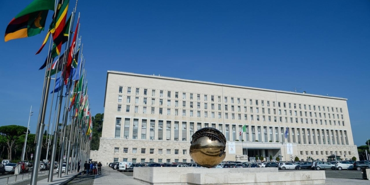 farnesina tirocinio diplomazia