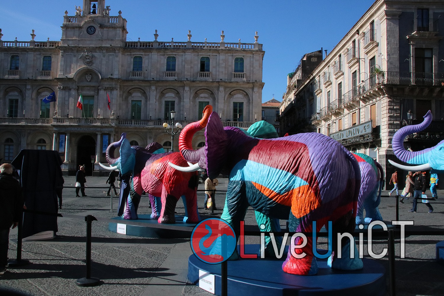 Catania, gli elefanti di piazza Università sono sparsi per la città: dove si trovano?