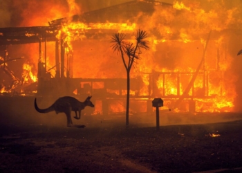 Un incendio a Lake Conjola, Aust​ralia, il 31 dicembre 201​9. Foto di Matthew Abbott.