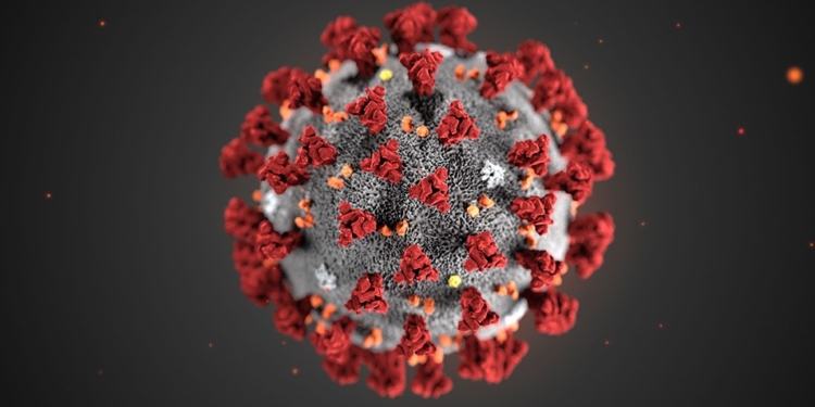 coronavirus foto