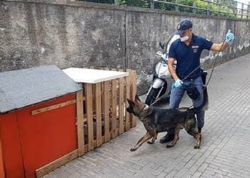 Droga nascosta in una cuccia per cani