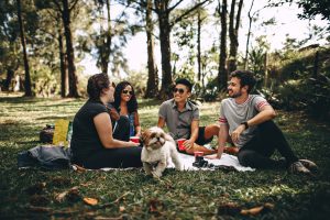 Un gruppo di amici durante un picnic